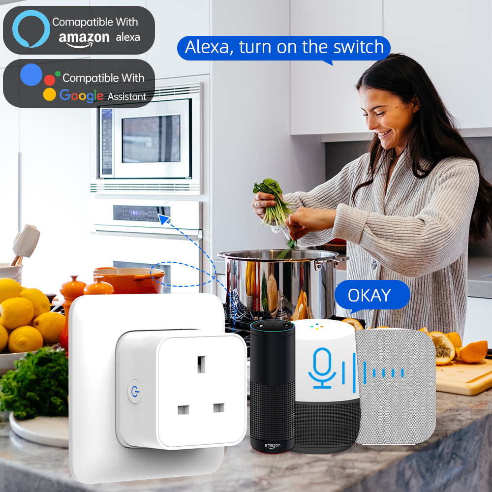 Tuya Smart Socket 16A/20A WiFi - Smart Home Voice Assistant recensie en prijs