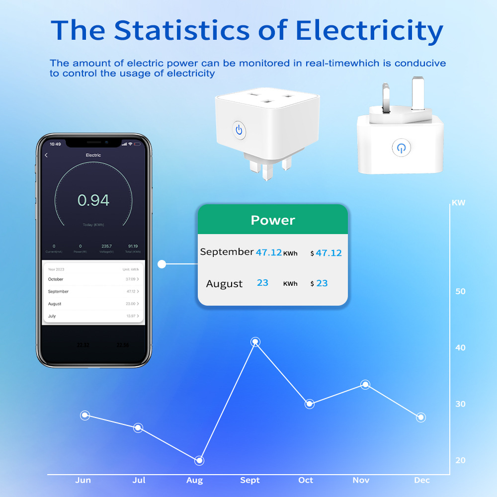 Tuya Smart Socket 16A/20A WiFi - Smart Home Voice Assistant recensie en prijs