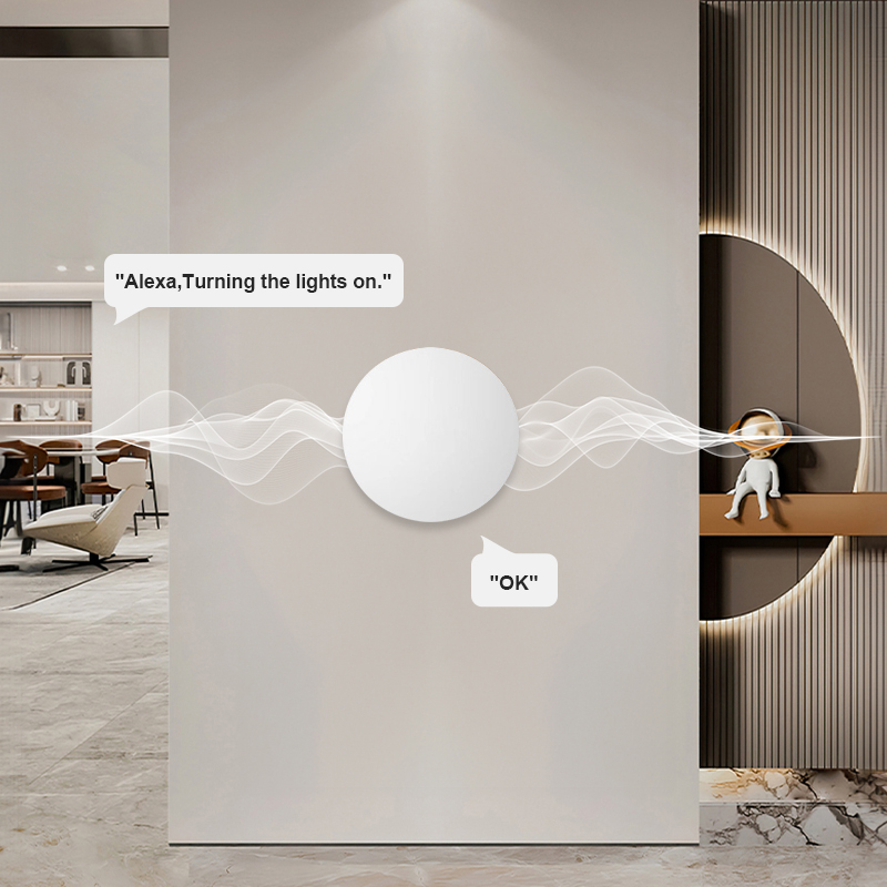 ZigBee Smart Wireless Button S - Smart Home Voice Assistant recensie en prijs