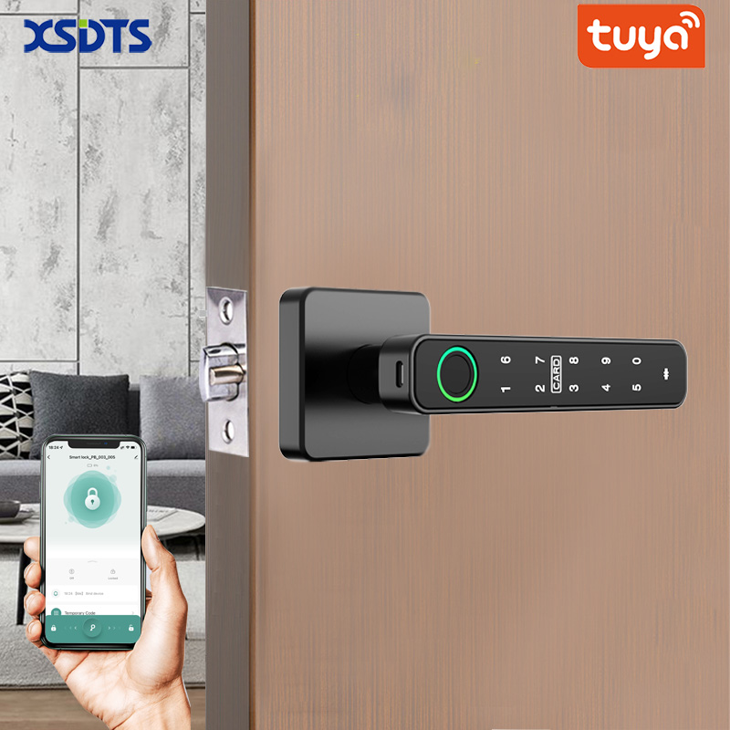 XSDTS Tuya Deurklink met vinge - Smart Home Website recensie en prijs