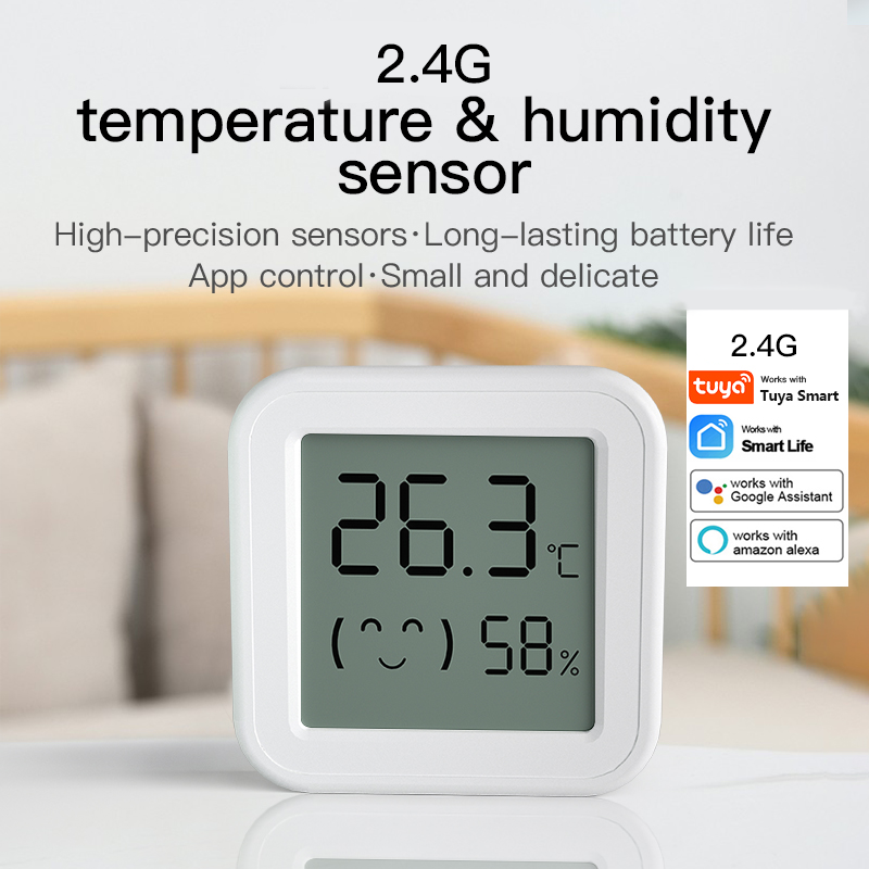Bluetooth Temperatuur-vochtigh - Smart Home Voice Assistant recensie en prijs