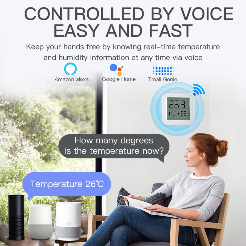 Bluetooth Temperatuur-vochtigh - Smart Home Voice Assistant recensie en prijs