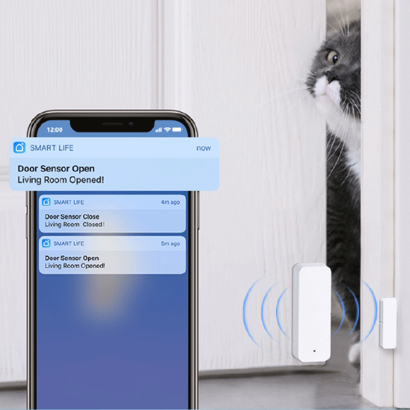 Tuya WiFi Zigbee Deur- en raam - Smart Home Ikea recensie en prijs