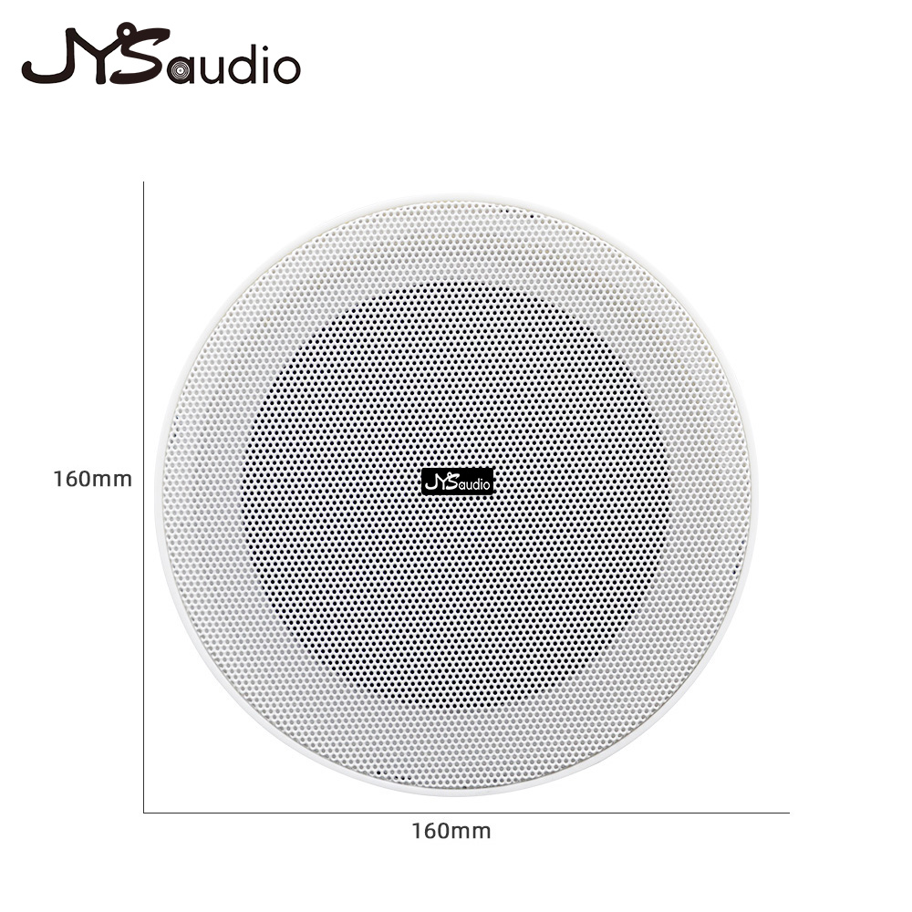 Frameloze plafondluidspreker 1 - Smart Home Speaker recensie en prijs