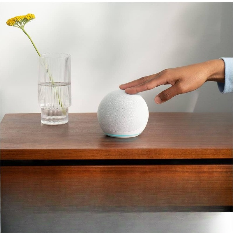 Slimme speaker met klokweergav - Smart Home Speaker recensie en prijs